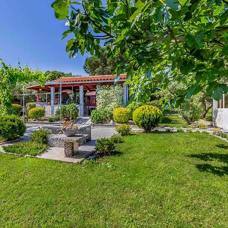 Istriensonne 0756 - Garten-paradies Mit Pool *
